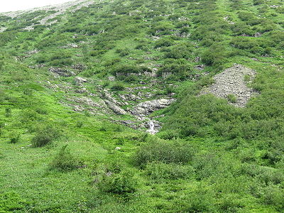 Водопадик на левом притоке р.Высокогорный
